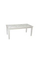 Table bois blanc et verre 180 cm