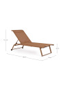 Ensemble de 2 chaises longues Taylor Pecan